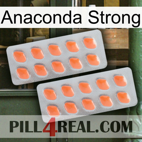 Anaconda Strong 27.jpg